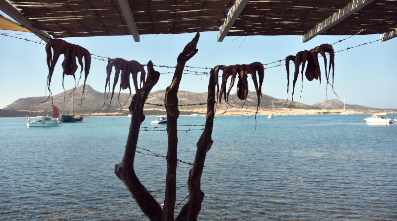 Polvo no varal em uma ilha grega