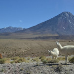 Vulcao Licancabur. Deserto do Atacama. Vulcao Licancabur