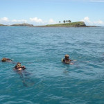 Mergulho Autônomo em Abrolhos Mergulho Autônomo em Abrolhos