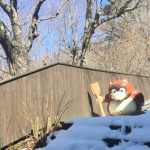 Neve na Primavera Neve na Primavera